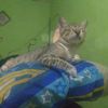 user4061956201555