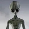 celebncxsk7