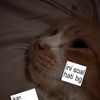 uvfur_