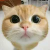 ilysha_140
