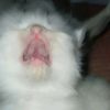 berdduaajaa
