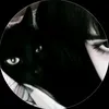 xir_lies