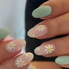 emillyalves5116