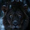 damir.king083