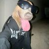 killer_bunny76
