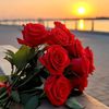 user9504093755317