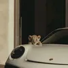 hamzaaa_091