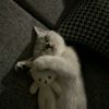 sahar_9735