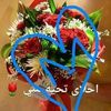 user2161302856088