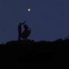 moon._no94