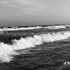 eros.olk