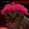 bajaguzzler