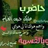 bashirmoese