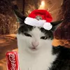 paul.ferenc