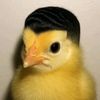 amar_juan64