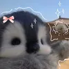 shunnyyvonnecarreon