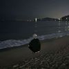 allan_762