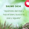 abbyflores937