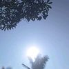 sarah_andini16