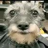 invinci_boy0