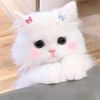 __meww__