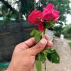 riyad.cox00
