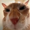 kmilqq_4