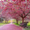 inspireinspire48