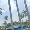 mx_majito