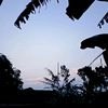 kamu_gakpapa_di