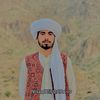 nisarqadri97