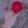 iram.sarfraz2