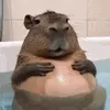 _capybara_finalboss_