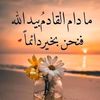 user3793946673902