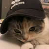 satou_2024