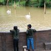 thangamani.sinnia
