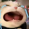 flomuaduong112