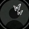 zh_ah80
