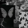 mycaelly01