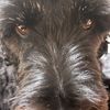 ott_graham