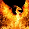 phoenixx000725