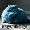 paralipipid7