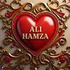 ali.hamza15494