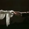 haedir.nn.haedir