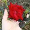 as_1993_0