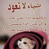 user69820533083607
