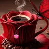 fans_mahmoud_salman