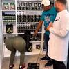 alejandroelvibe340