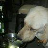 lucho.farfan.guer