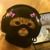 santoss_txv